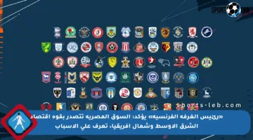 «رئيس الغرفة الفرنسية» يؤكد: السوق المصرية تتصدر بقوة اقتصاد الشرق الأوسط وشمال إفريقيا، تعرف على الأسباب